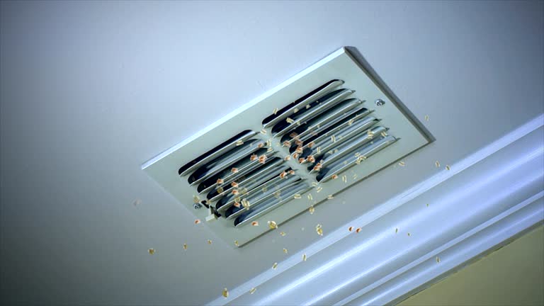 Best Home Air Vent Cleaning  in Chandler, TX
