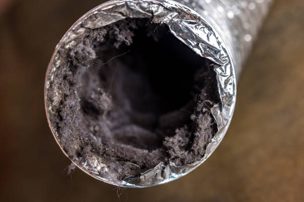 Best Commercial Air Duct Cleaning  in Chandler, TX